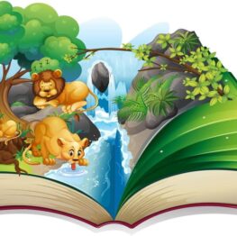 VR Book
